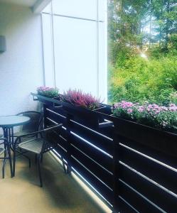 Auszeit Im Schwarzwald Freudenstadt Germany J2ski