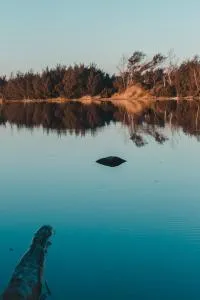 The Prawn Hatchery Pty Ltd on Amatikulu - Dokodweni