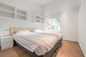 Haus Dienten Apartments am Hochkoenig