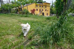 B&B Corte Jago