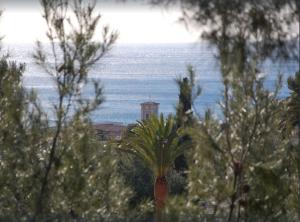 Appartements Calanque : photos des chambres