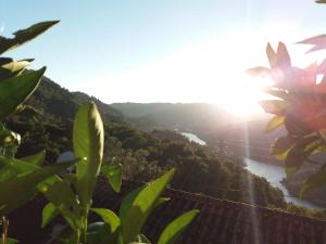 Casa do Quitaranda - Gerês