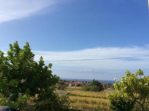 Jamaica Dream Gateway