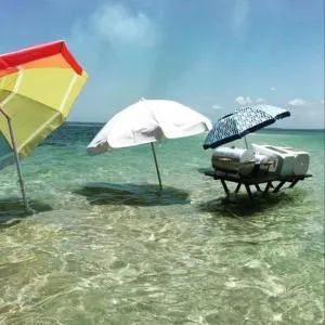 Solar da Mangueira - 马德雷德乌斯