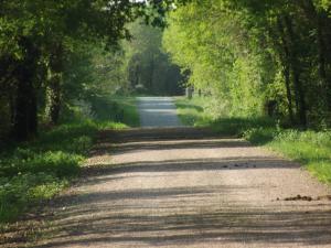 Campings Ecuries Leseigneur - Camping Insolites : photos des chambres