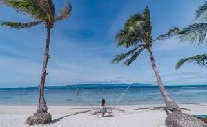 Cocohut Beach Resort Koh Phangan - Haad Rin