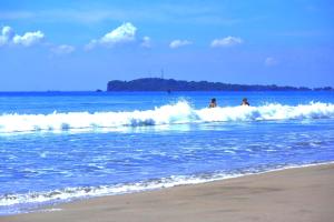 Sea Lotus Park