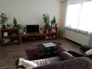 Apartament Spacious apartment near Brno. Samostatný byt v RD Šlapanice Czechy