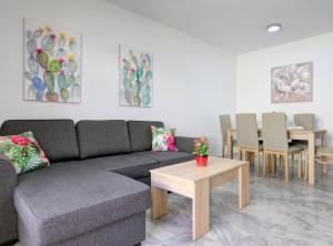 APARTAMENTO VIÑUELA