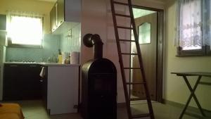 Apartamenty domki wędkowanie