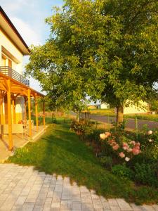 Wakacje u Babci Krysi