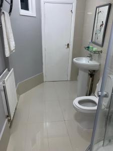 PADDINGTON HYDE PARK APARTMENT