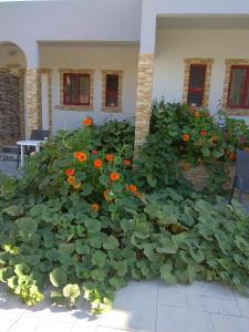Efi Studio Kos Greece