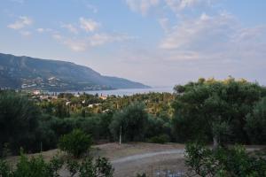 Bella Vista