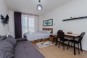 Ski InOut Apartment in New Gudauri, Loft 2