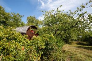 Maisons de vacances Le Chalet du Chemin et sa Roulotte : photos des chambres