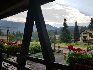 Timis Valley, Casa Eni&Dan