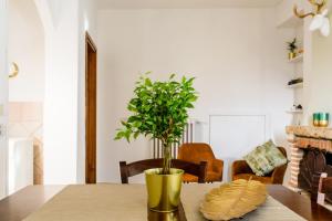 Dimore Abruzzo - Pietraviva