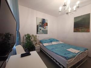 Apartament wygodny S3 - 3hvězdičkové hotely ve městě Kališ