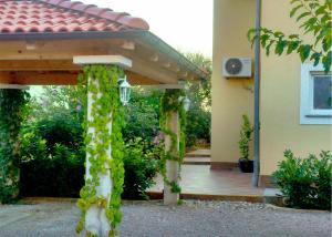 Apartmani Olea Krk