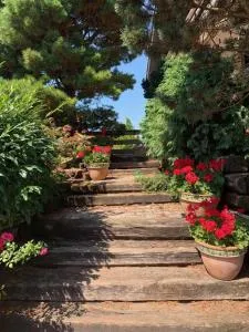 Ela's Apartment - Lahovče