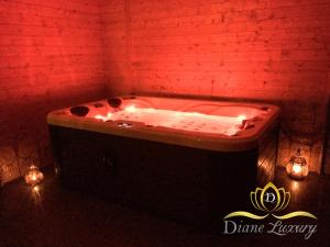 Love hotels Diane Luxury 1 : photos des chambres