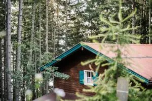 Berghütte Hochpillberg - 施瓦茨