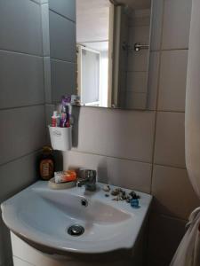 Rodomelo Cute Studio 1