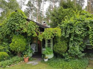 Коттедж Domek Letniskowy na Kaszubach Пуцьк Польща