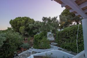 Dream property pool, jacuzzi and sea Skiathos Greece