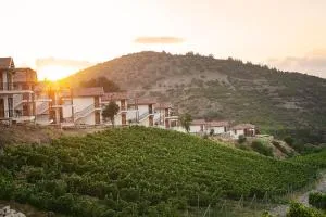 Gillham Vineyard Hotel - Lapithos