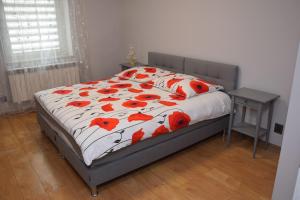 APARTAMENTY Kudowa Zdrój - Słone