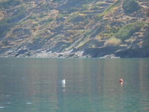 The Light Blue House Ikaria Greece