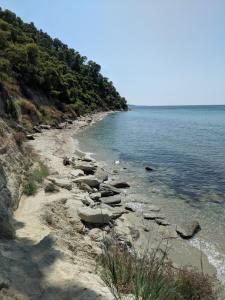 Electra's Private Beach Villa Halkidiki Greece