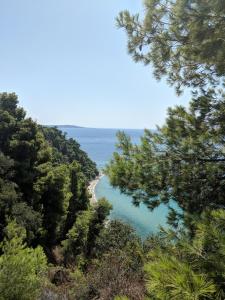 Electra's Private Beach Villa Halkidiki Greece