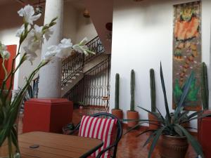 Casa Agave Oaxaca