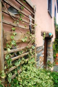 Vivienda Vacacional Bioxana