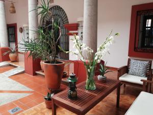 Casa Agave Oaxaca