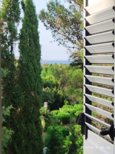 Rosa Marina Frontline Beach