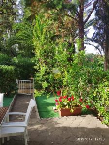 Rosa Marina Frontline Beach