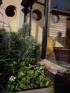 B&B / Chambres d'hotes Invitation au Rivage : photos des chambres