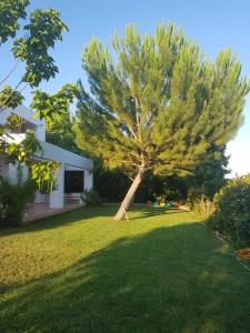 Unique villa in an orange grove Argolida Greece