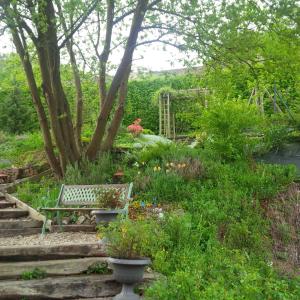 B&B / Chambres d'hotes DUCK HOUSE : photos des chambres