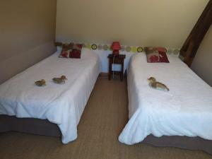 B&B / Chambres d'hotes DUCK HOUSE : photos des chambres