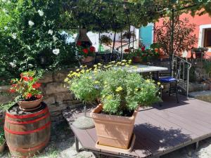 Guesthouse Villa Marija 