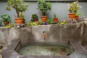 Tsera House