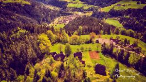 Domačija Koklej - Apartments Vintage Vacation