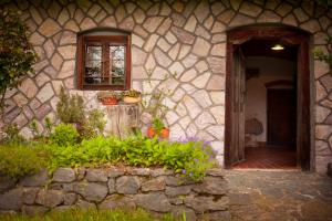 Domačija Koklej - Apartments Vintage Vacation