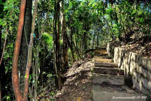Fazenda Fernandes Pousada