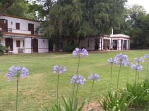 Estancia del Olivo